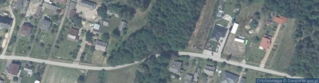 Zdjęcie satelitarne Czarny Lasek ul.