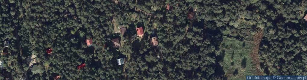 Zdjęcie satelitarne Czekanka ul.