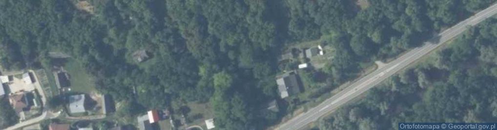 Zdjęcie satelitarne Czekarzewice Pierwsze ul.