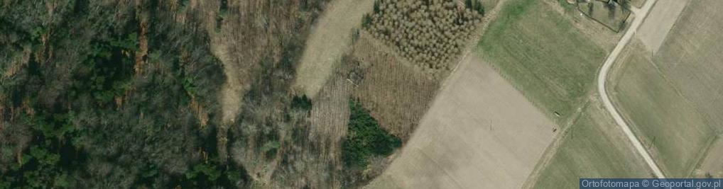 Zdjęcie satelitarne Czermna ul.