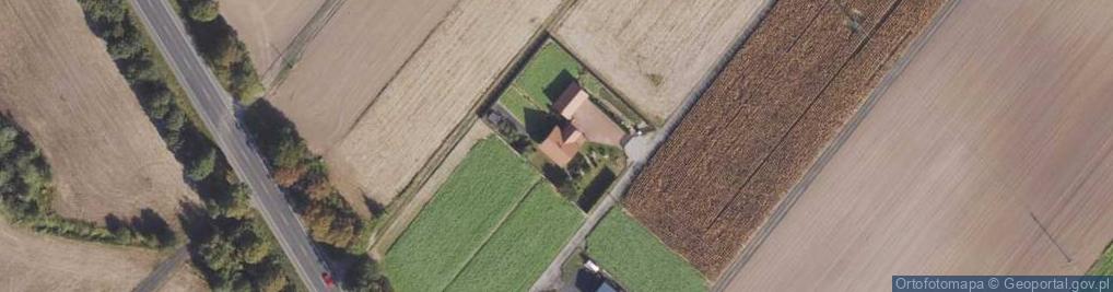 Zdjęcie satelitarne Czernikówko ul.