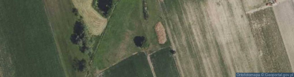 Zdjęcie satelitarne Czesławów ul.