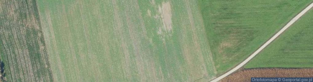 Zdjęcie satelitarne Czewujewo ul.