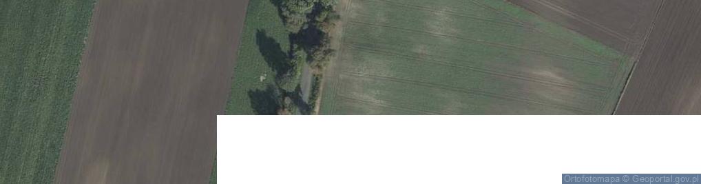 Zdjęcie satelitarne Czortowice ul.
