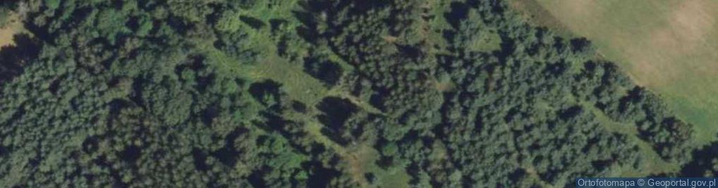 Zdjęcie satelitarne Czuprynowo ul.