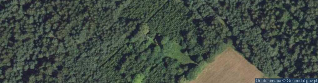 Zdjęcie satelitarne Czuprynowo ul.