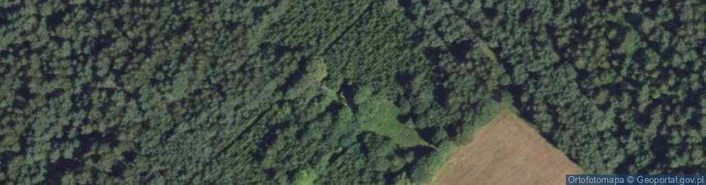 Zdjęcie satelitarne Czuprynowo ul.