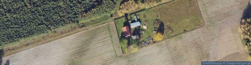 Zdjęcie satelitarne Czyżkowo ul.