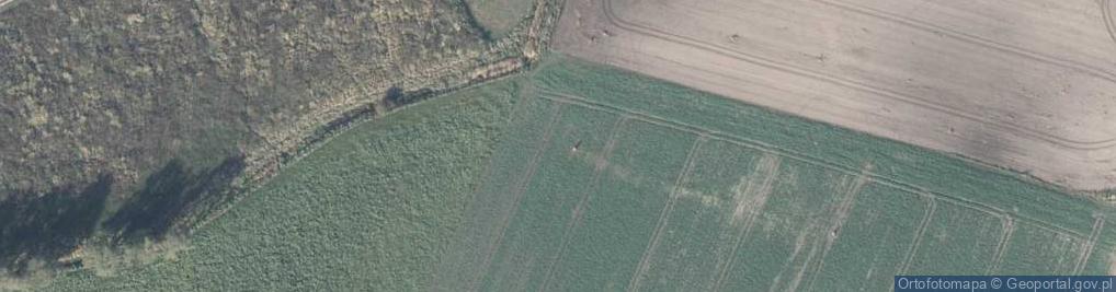 Zdjęcie satelitarne Cztery Pory Roku ul.