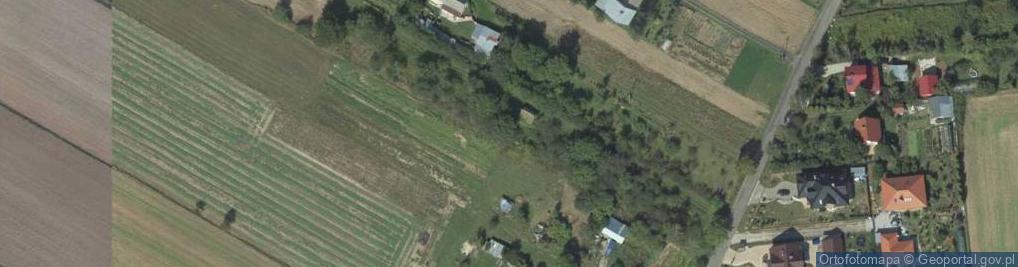 Zdjęcie satelitarne Czereśniowa ul.