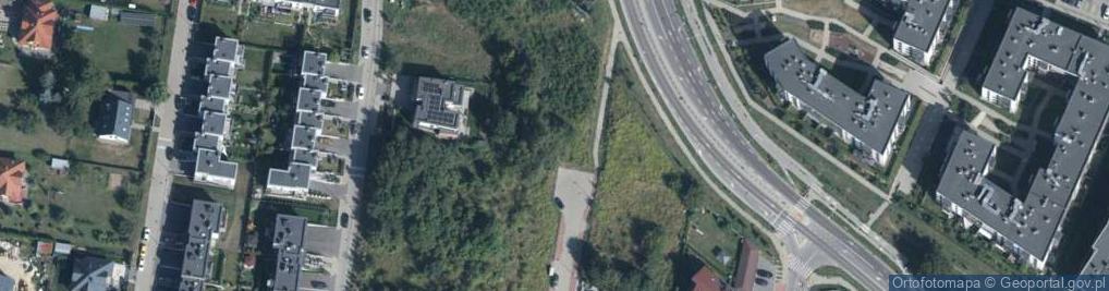 Zdjęcie satelitarne Czumy Ignacego ul.
