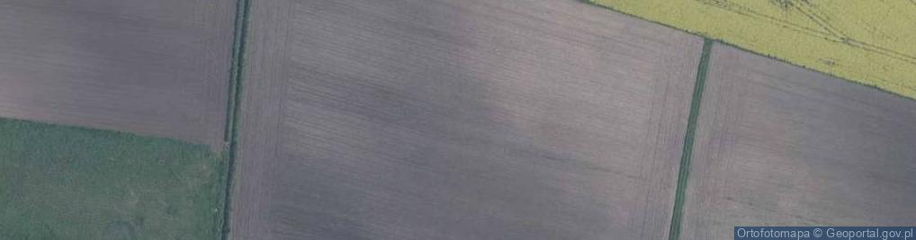 Zdjęcie satelitarne Czereśniowa ul.