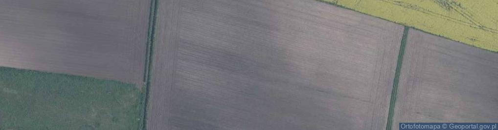 Zdjęcie satelitarne Czereśniowa ul.