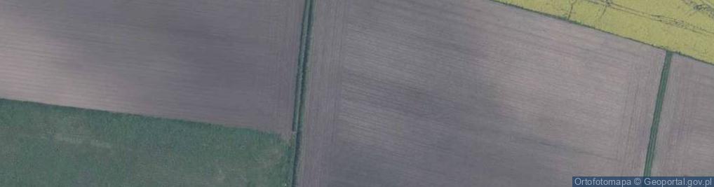 Zdjęcie satelitarne Czereśniowa ul.