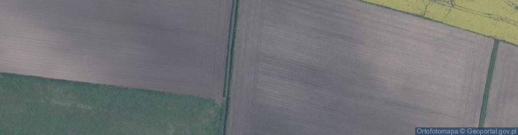 Zdjęcie satelitarne Czereśniowa ul.