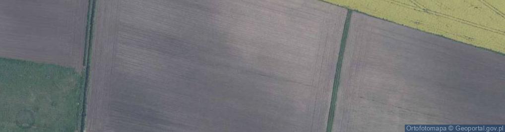 Zdjęcie satelitarne Czereśniowa ul.