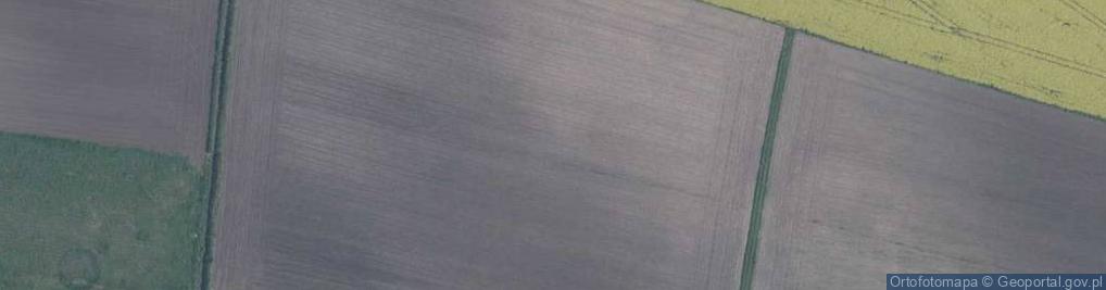 Zdjęcie satelitarne Czereśniowa ul.