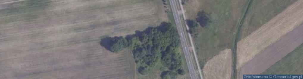 Zdjęcie satelitarne Czartoryskich ul.