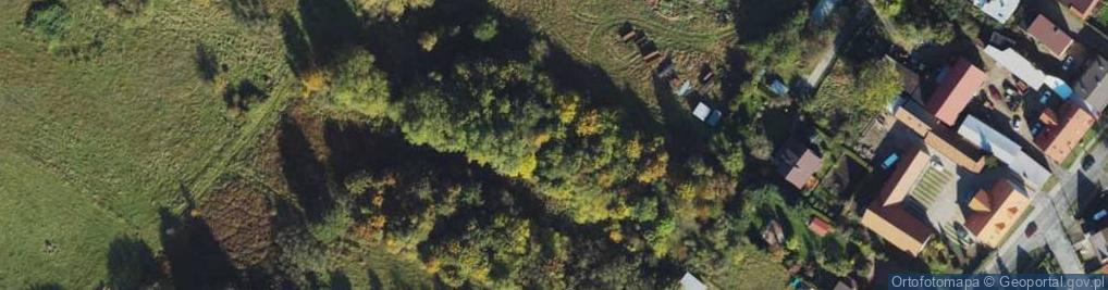 Zdjęcie satelitarne Czecha Bronisława ul.