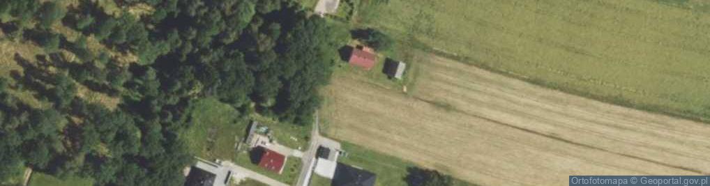 Zdjęcie satelitarne Czarny Las ul.