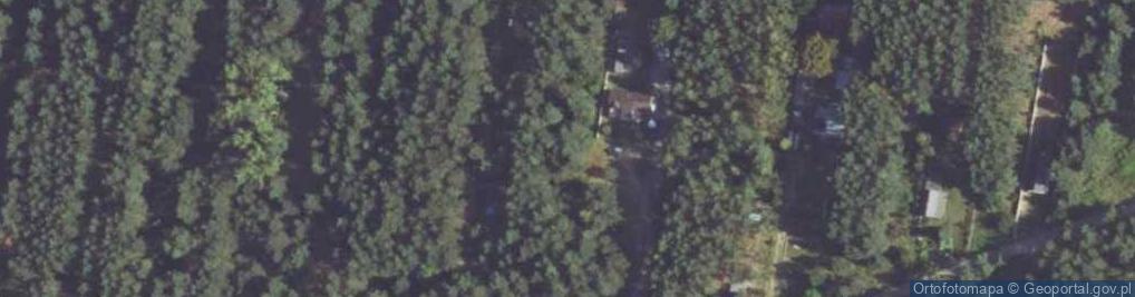 Zdjęcie satelitarne Czarka ul.