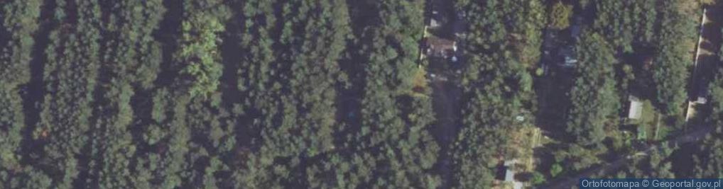 Zdjęcie satelitarne Czarka ul.