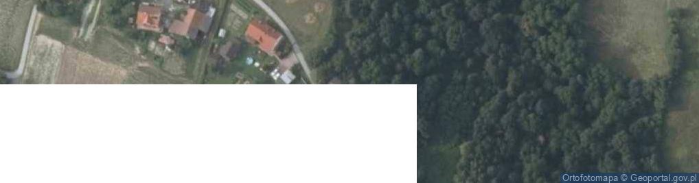 Zdjęcie satelitarne Czarny Las ul.