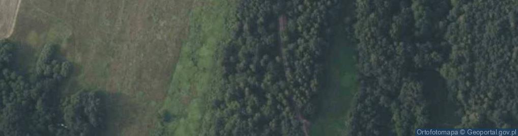 Zdjęcie satelitarne Czarny Las ul.