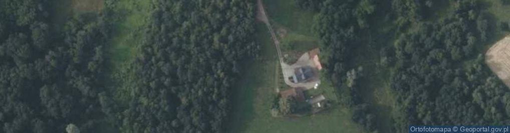 Zdjęcie satelitarne Czarny Las ul.
