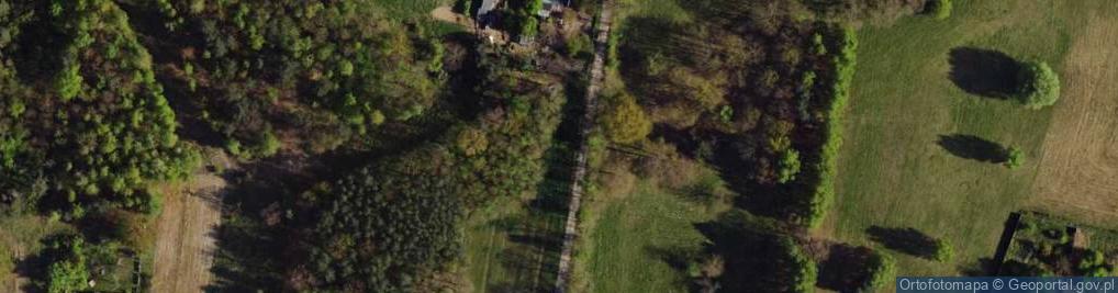 Zdjęcie satelitarne Czereśniowa ul.