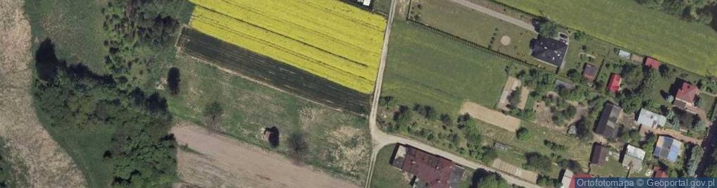 Zdjęcie satelitarne Dąbrowskiej Marii ul.