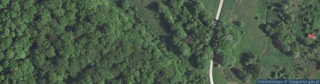 Zdjęcie satelitarne Dąbrowy ul.