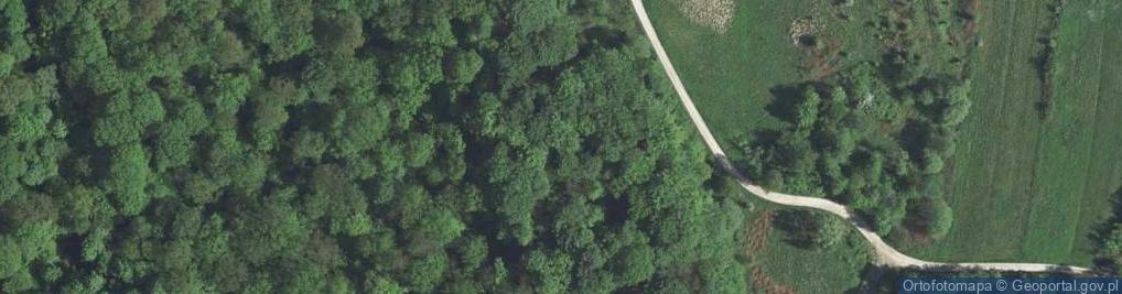 Zdjęcie satelitarne Dąbrowy ul.