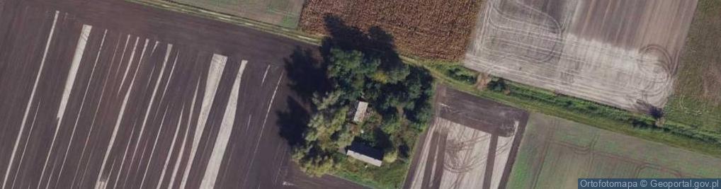 Zdjęcie satelitarne Dąbie Kujawskie ul.