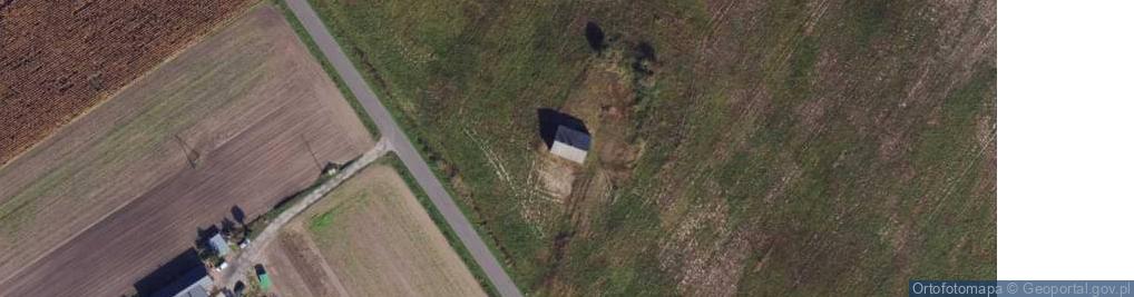 Zdjęcie satelitarne Dąbie Kujawskie ul.