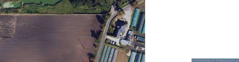 Zdjęcie satelitarne Dąbie Kujawskie ul.