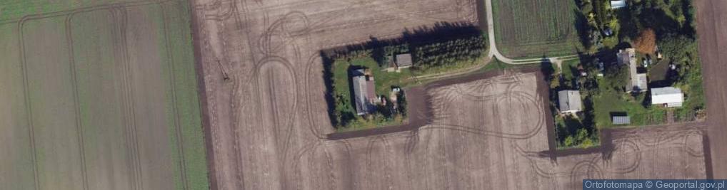 Zdjęcie satelitarne Dąbie Kujawskie ul.