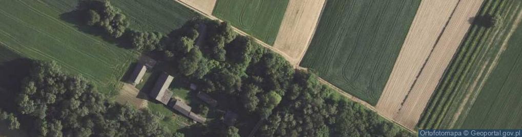 Zdjęcie satelitarne Dąbie ul.