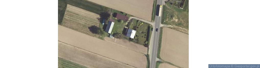 Zdjęcie satelitarne Dąbie ul.