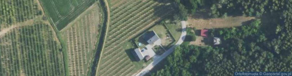 Zdjęcie satelitarne Dąbie ul.