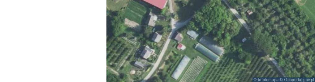 Zdjęcie satelitarne Dąbie ul.