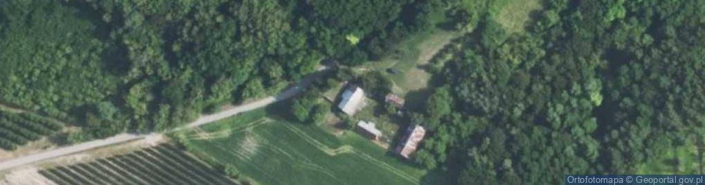 Zdjęcie satelitarne Dąbie ul.