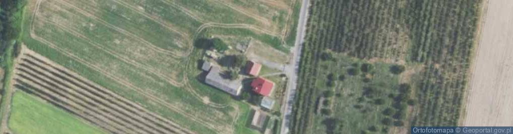Zdjęcie satelitarne Dąbie ul.