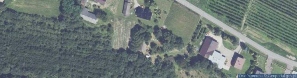 Zdjęcie satelitarne Dąbie ul.