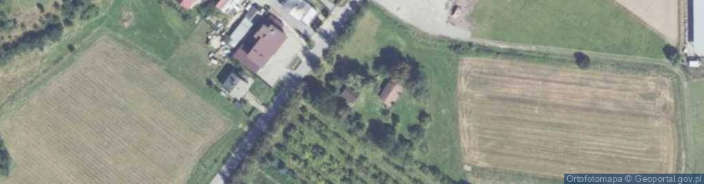 Zdjęcie satelitarne Dąbie ul.