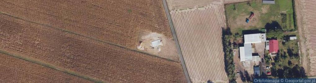 Zdjęcie satelitarne Dąbie ul.