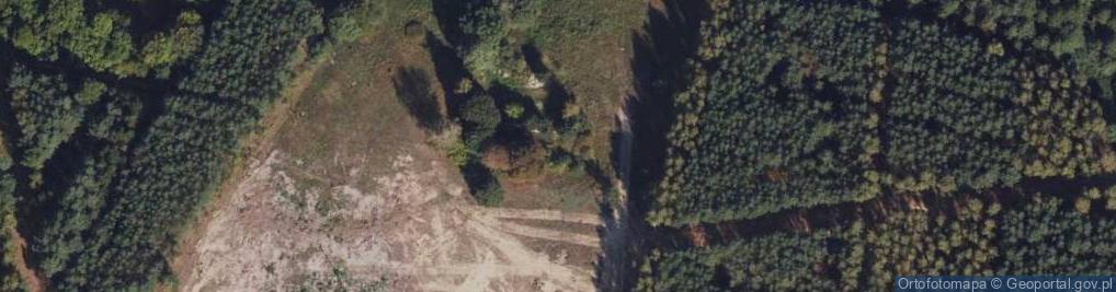 Zdjęcie satelitarne Dąbie ul.