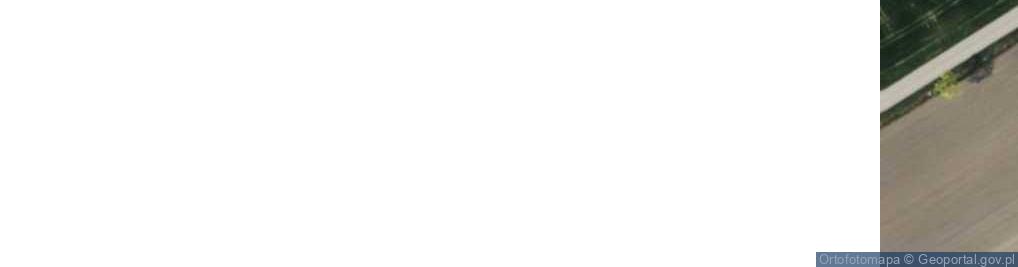 Zdjęcie satelitarne Dąbkowice ul.