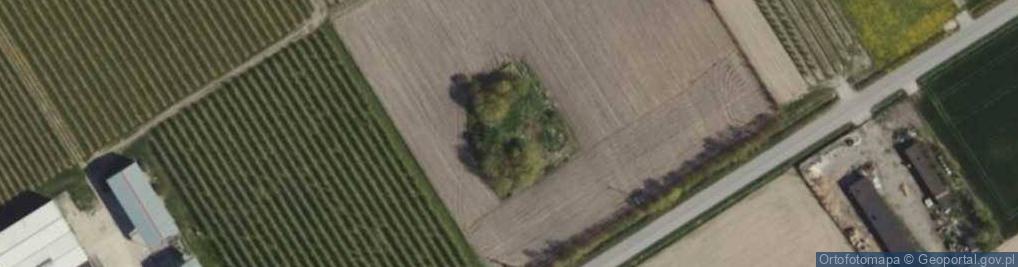Zdjęcie satelitarne Dąbkowice ul.