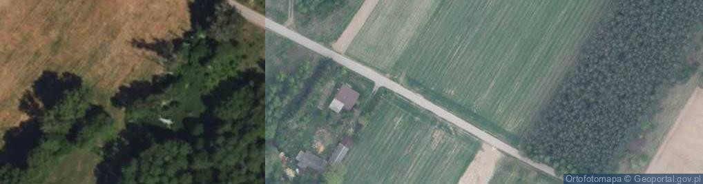 Zdjęcie satelitarne Dąbrowa-Michałki ul.